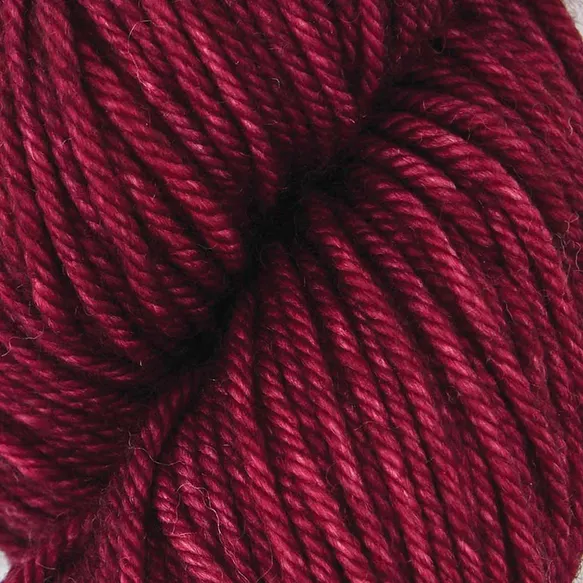 Bella - 4027 Dried Chiles