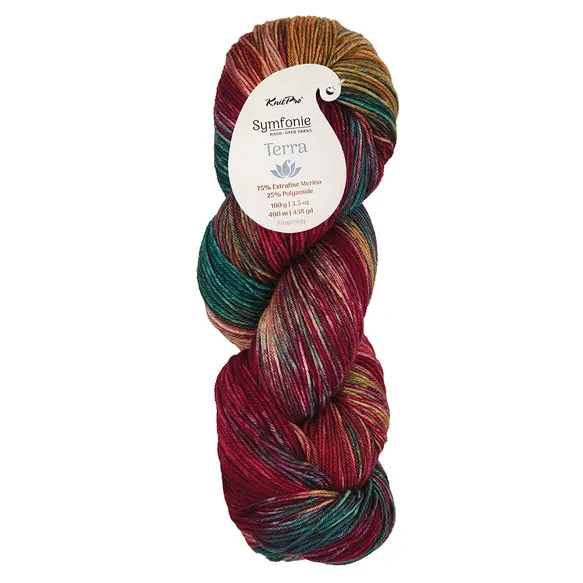 Terra - 2016 Old Delhi