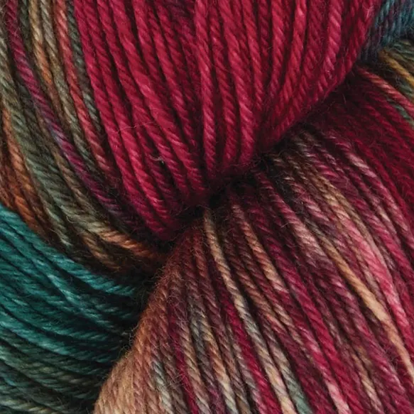 Terra - 2016 Old Delhi