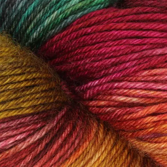 Terra - 2027 Harvest vine