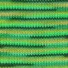 Chroma - 015 Grassland