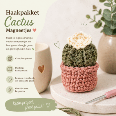 haakpakket cactus Haakpakket - cactus magneet