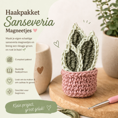 haakpakket sanseveria Haakpakket - sanseveria magneet